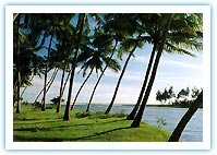 Kerala Travel Guide