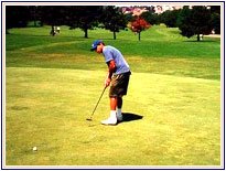 Mughal Sheraton Golf , Hotels in Agra