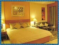 Guest Room At Hotel Hans Plaza, New Delhi