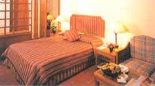 hotel janpath, hotels in delhi, janpath hotel, budget hotels in delhi, delhi hotels, four star hotels in delhi, online hotels and tours booking in delhi, images of hotel janpath, information about hotels in delhi, delhi tourist guide, cheaper hotels in delhi