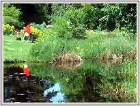 The Botanical Gardens, Ooty Place to See