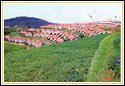 Hotel Lake View, Ooty Hotels