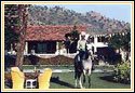 Hotel Sikarbadi, Udaipur Hotels